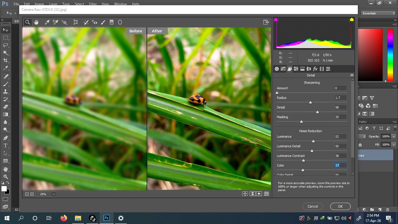 Ladybug — Photo Restoration in Camera Raw
